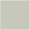 Grigio traffico P61