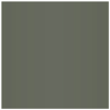 Grigio Platino P170